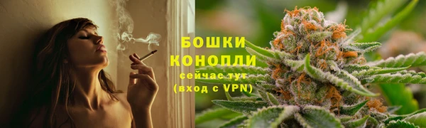 тгк Горняк