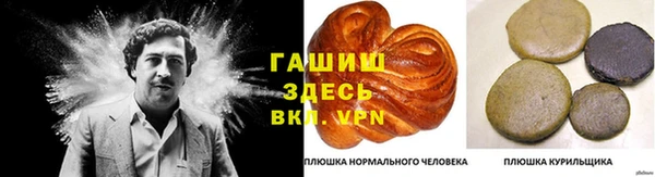 apvp Горно-Алтайск