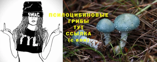 мескалин Горнозаводск