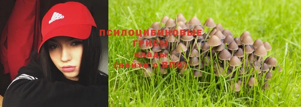 мескалин Горнозаводск